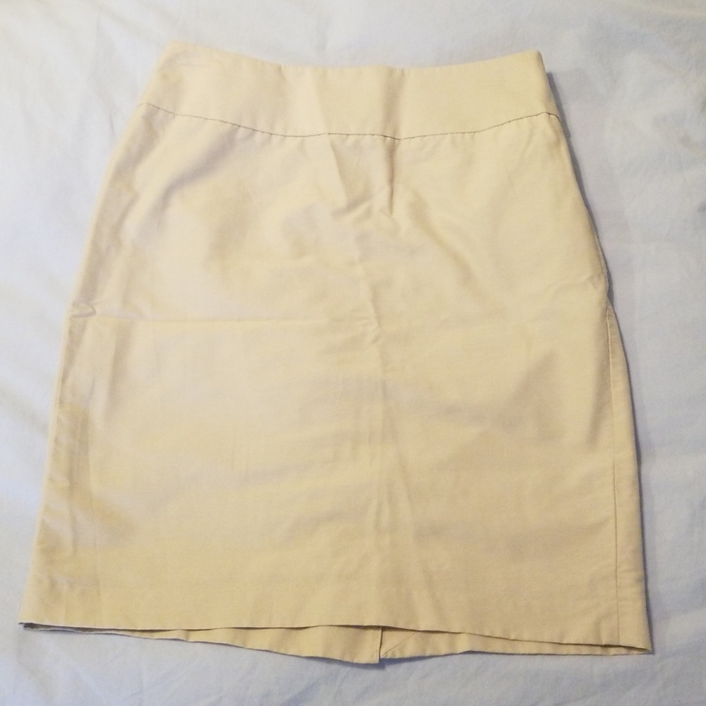 Limited Pencil Skirt